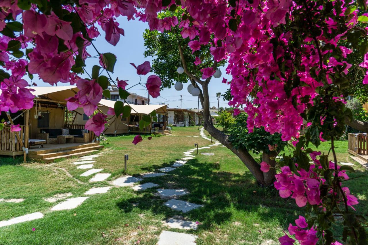 Logos Beach Village Theológos Buitenkant foto